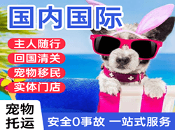 淮安空运代理国际宠物托运 【国